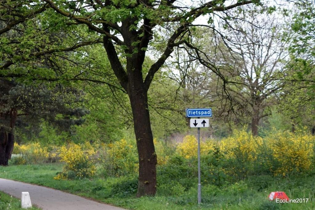 Huinerhofje 2 - Vrijstaand Met Grote Omheinde Tuin, Rust, Privacy En Nabij Bossen Villa Putten Ngoại thất bức ảnh