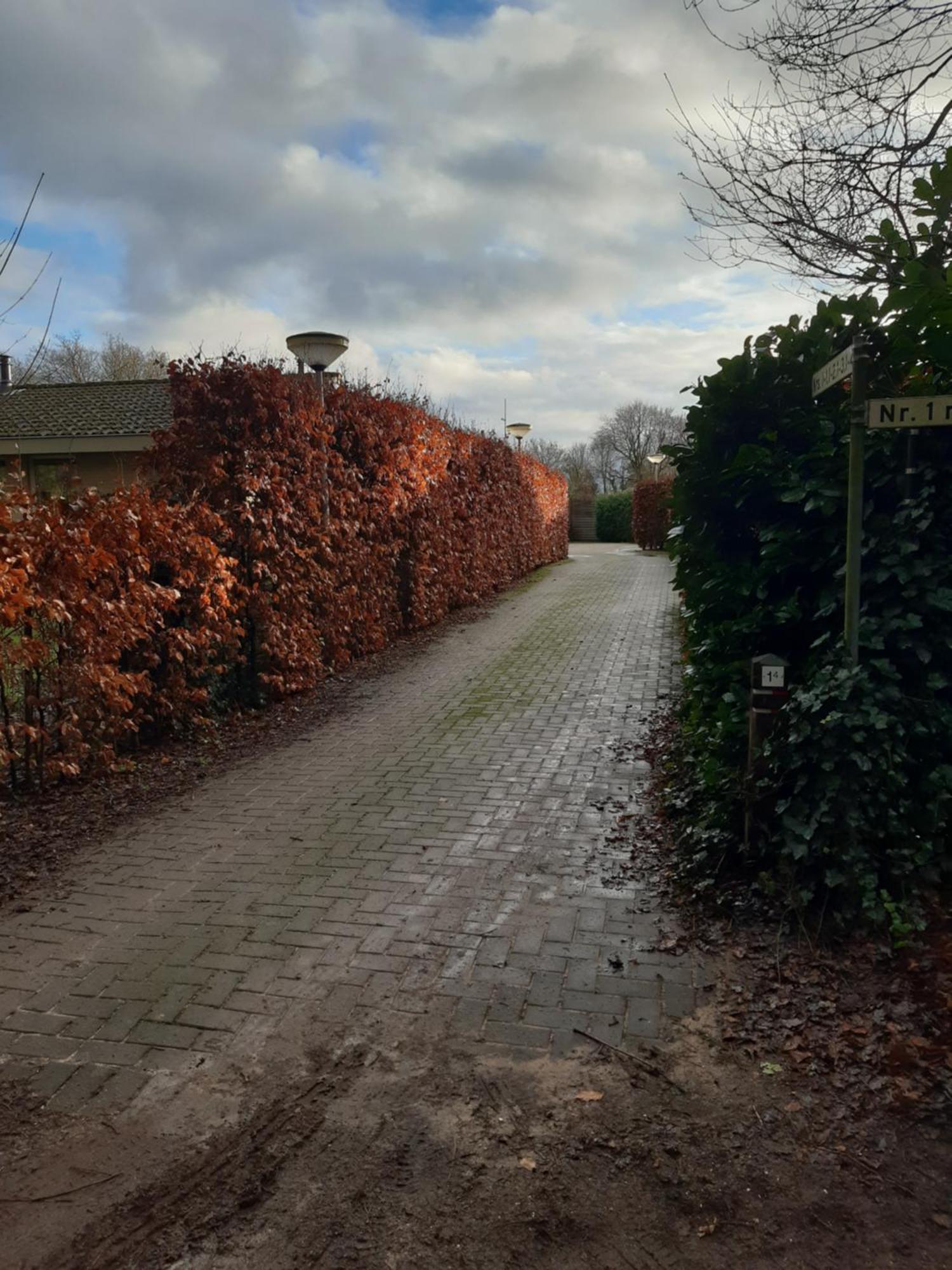 Huinerhofje 2 - Vrijstaand Met Grote Omheinde Tuin, Rust, Privacy En Nabij Bossen Villa Putten Ngoại thất bức ảnh